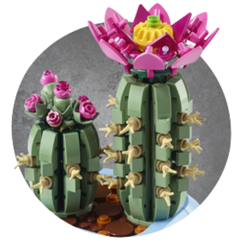 LEGO BOTANICALS