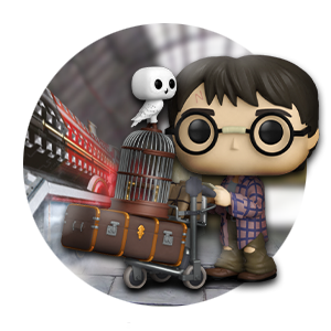 HARRY POTTER