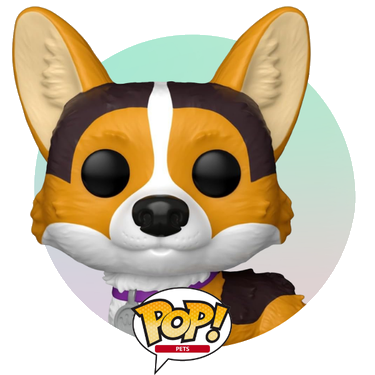 PETS