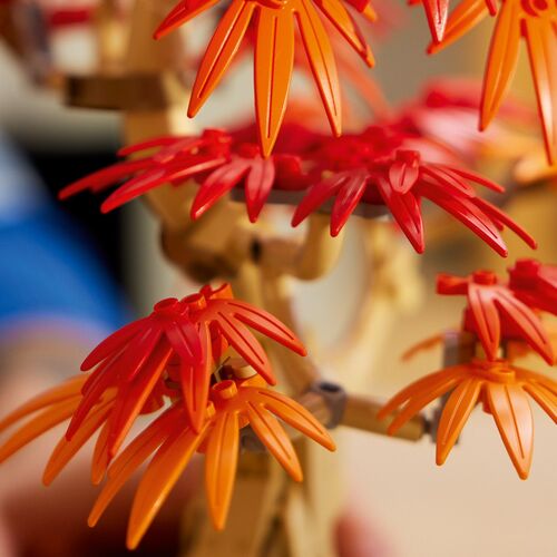 LEGO BOTANICALS - BONSÁI DE ARCE ROJO JAPONÉS