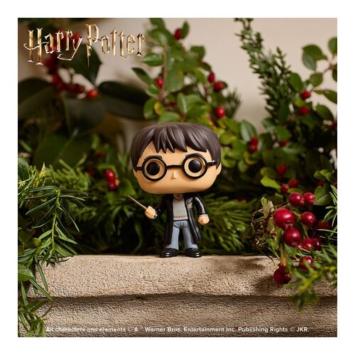 FUNKO POP! HARRY POTTER - HARRY POTTER